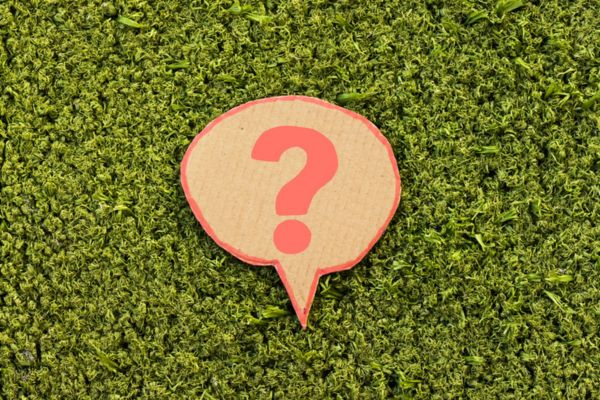 question mark on cutout cardboard on top of grass depicting On-Road Vs Off-Road Diesel questions